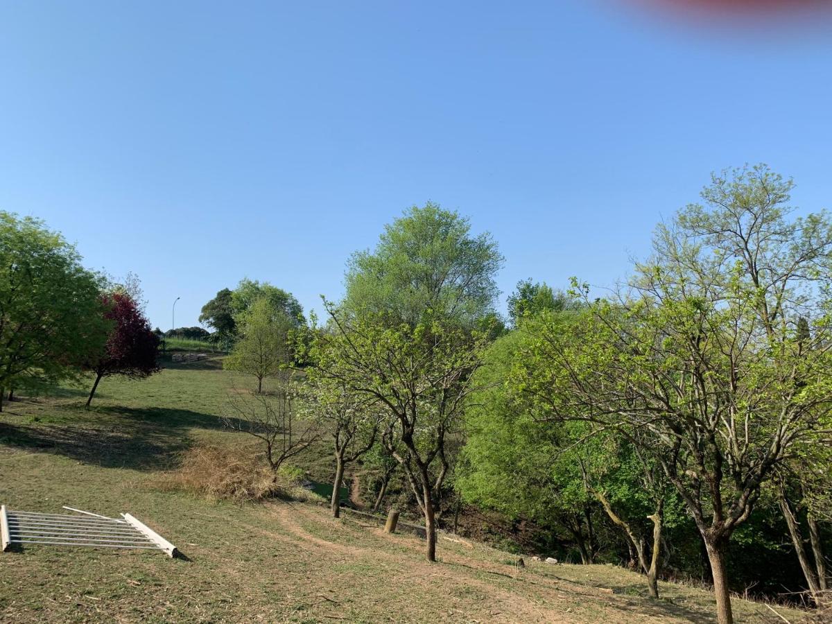 Villa Isidoro Ampio Parco ,Piscina Privata, Arte E Giochi , Fitness Verona Eksteriør bilde
