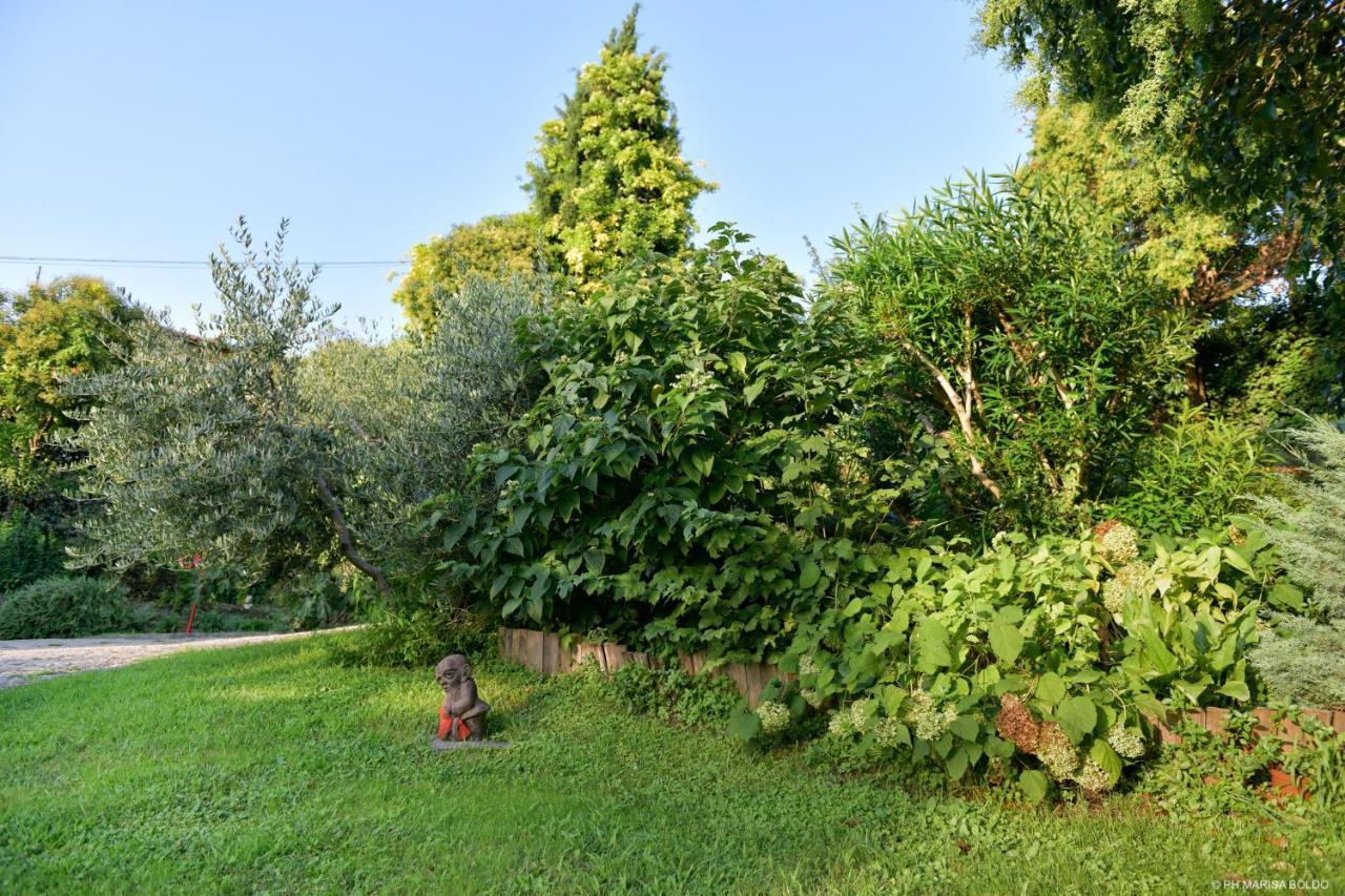 Villa Isidoro Ampio Parco ,Piscina Privata, Arte E Giochi , Fitness Verona Eksteriør bilde